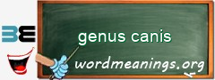 WordMeaning blackboard for genus canis